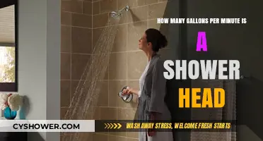 Shower Head Flow Rate: How Many Gallons Per Minute?