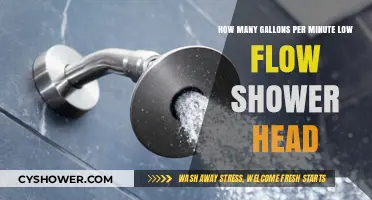 Low Flow Shower Heads: Understanding Gallons Per Minute Efficiency