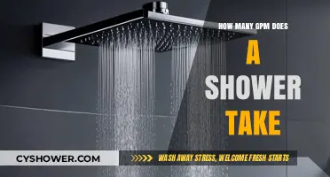 Understanding Your Shower's GPM: Water Usage and Efficiency Explained