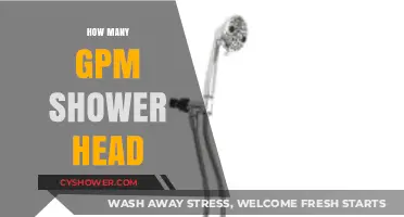 Choosing the Right GPM Shower Head for Water Efficiency and Comfort
