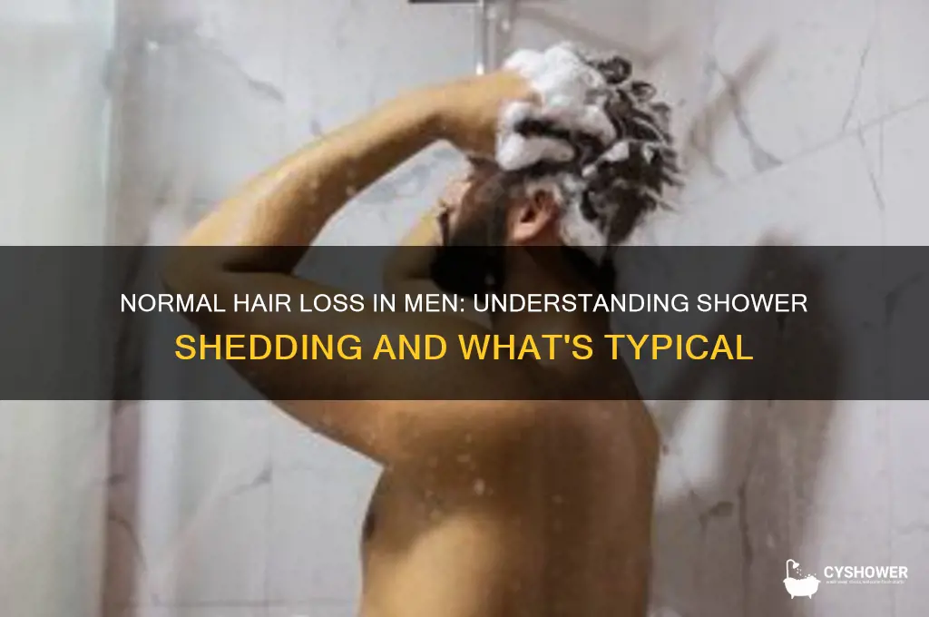 how many hairs should fall out in shower male
