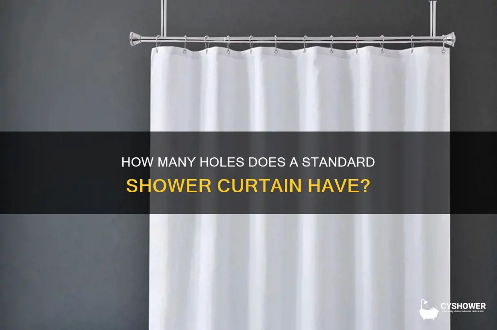how many hoels doed a shower curtain have