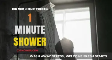 Shower Water Usage: How Many Litres in a 1-Minute Rinse?