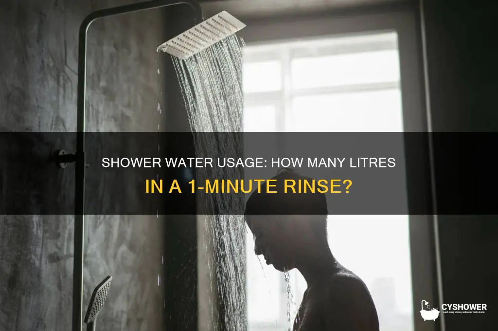 how many litres of water in a 1 minute shower