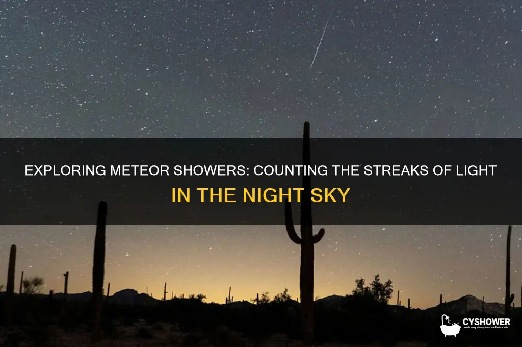 how many meteors are in a meteor shower