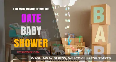 Planning Ahead: The Ideal Timeline for Your Baby Shower Celebration