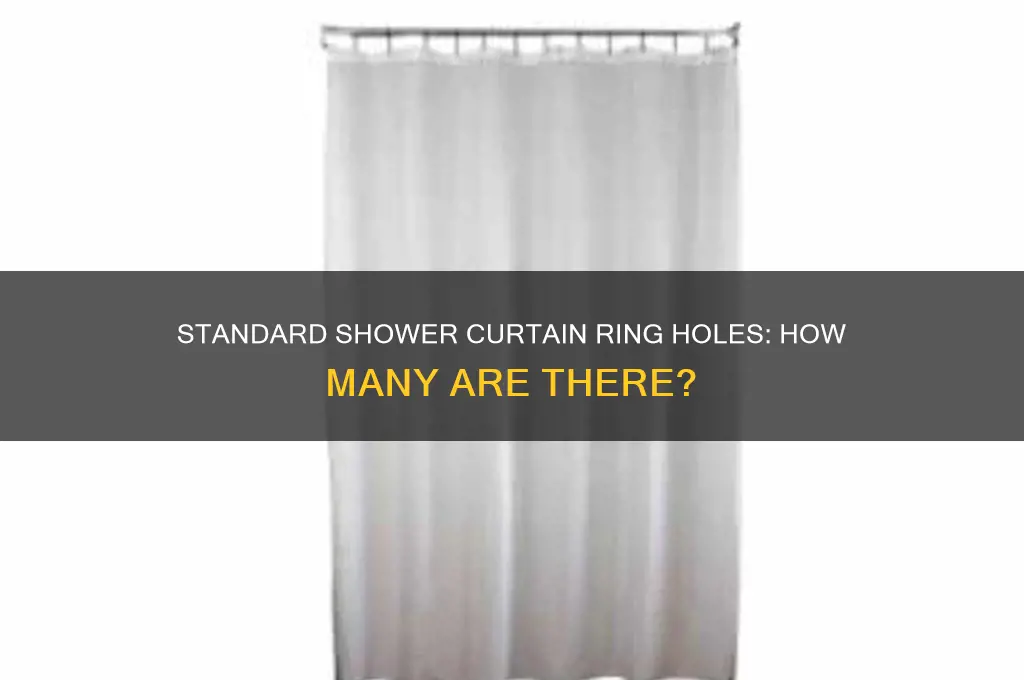 how many ring holes does a standard shower curtain have