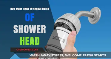 Optimal Shower Head Filter Replacement Frequency for Clean Water