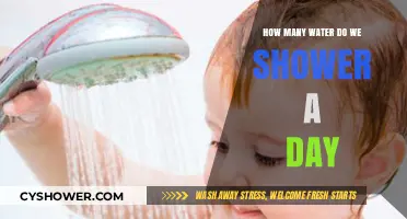 Daily Shower Water Usage: How Much Do We Really Consume?