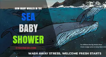 Ocean's Lullaby: Celebrating New Life with Whales and Waves