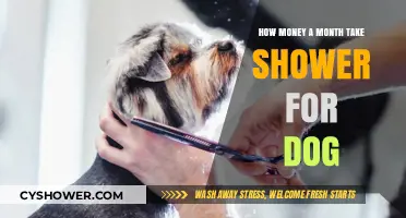Monthly Dog Shower Costs: Budgeting for Your Pet’s Grooming Needs