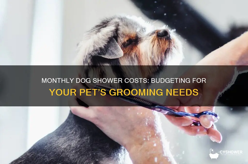 how money a month take shower for dog
