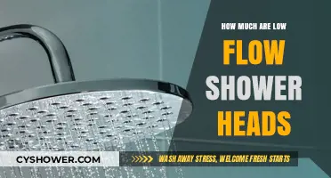 Affordable Eco-Friendly Options: Low Flow Shower Heads Cost Guide
