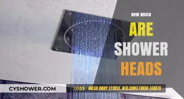 Discover the Cost of Shower Heads: A Comprehensive Price Guide