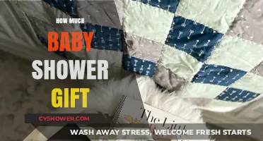 Choosing the Perfect Baby Shower Gift: A Comprehensive Guide