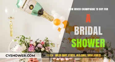 Perfect Pour: Champagne Quantity Guide for Bridal Shower Celebrations