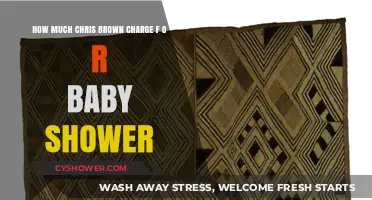 Chris Brown's Baby Shower Performance Fees Revealed
