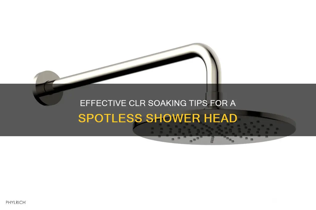 how much clr to soak shower head