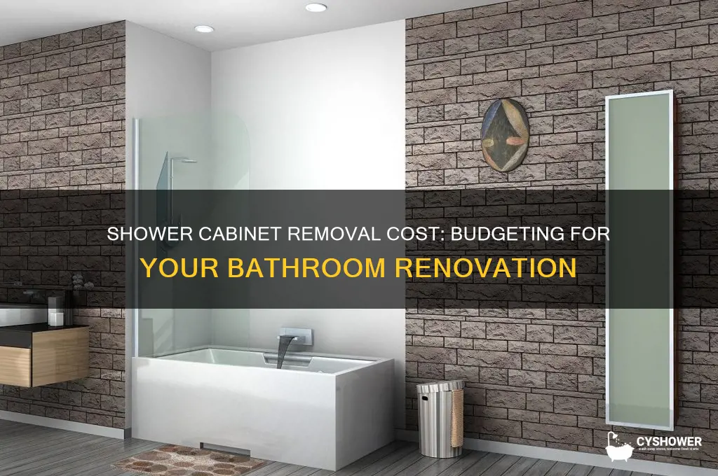 how much cost to remove the shower cabinet
