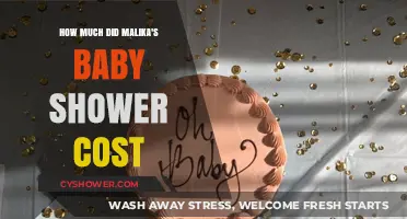 Malika's Baby Shower Extravaganza: A Cost Breakdown