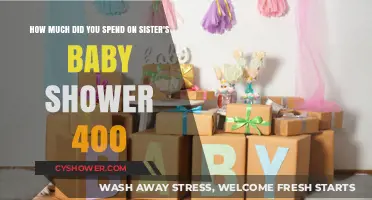 Budget Breakdown: My Sister's Baby Shower Expenses Revealed