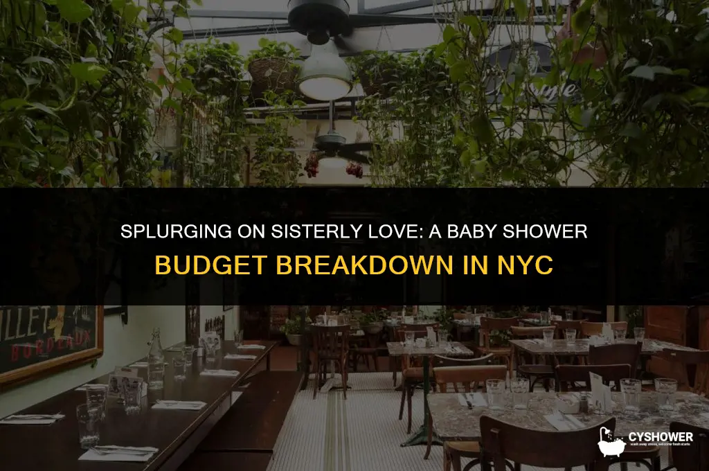 how much did you spend on sisters baby shower ny