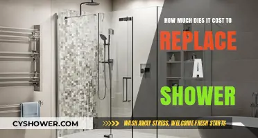 Shower Replacement Costs: What to Expect for Your Bathroom Upgrade