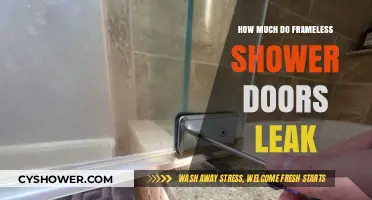 Do Frameless Shower Doors Leak? Debunking Myths and Facts