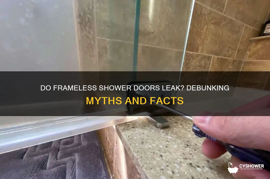 how much do frameless shower doors leak