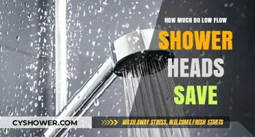Low Flow Shower Heads: Unlocking Water and Cost Savings
