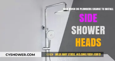 Side Shower Head Installation Costs: What Plumbers Typically Charge