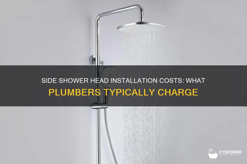 how much do plumbers charge to install side shower heads