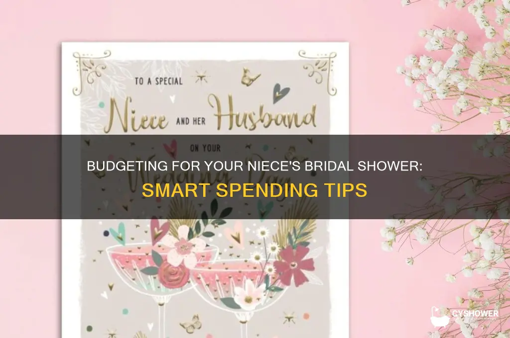 how much do you spend on niece