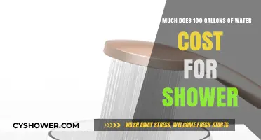 Shower Water Costs: Understanding the Price of 100 Gallons