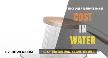 Calculating the Cost of a 10-Minute Shower in Water Usage