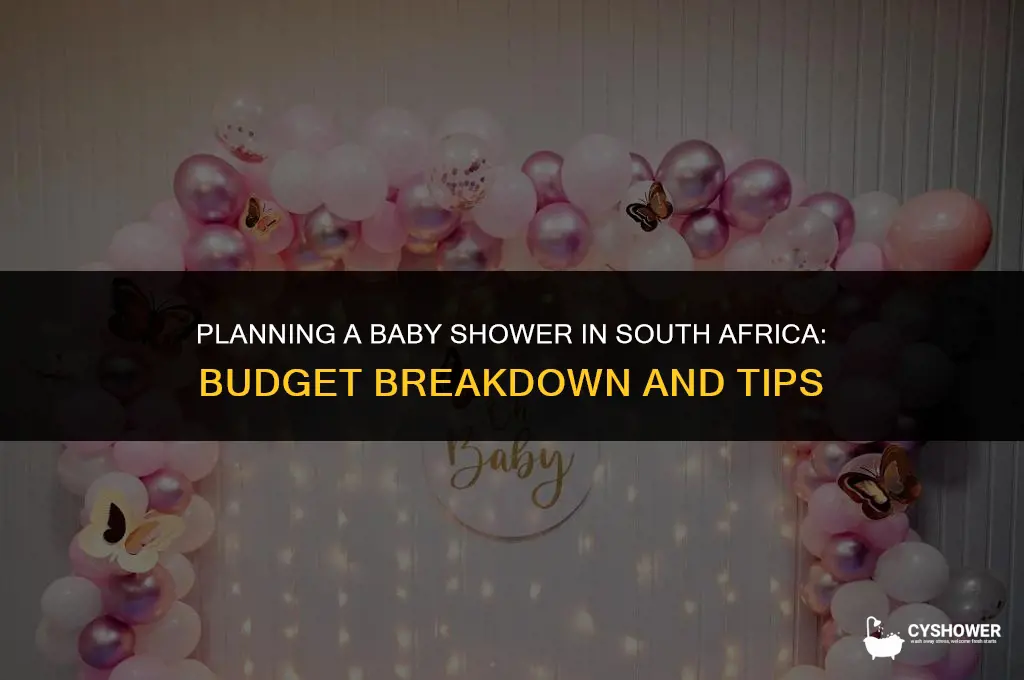 how much does a baby shower cost in south africa