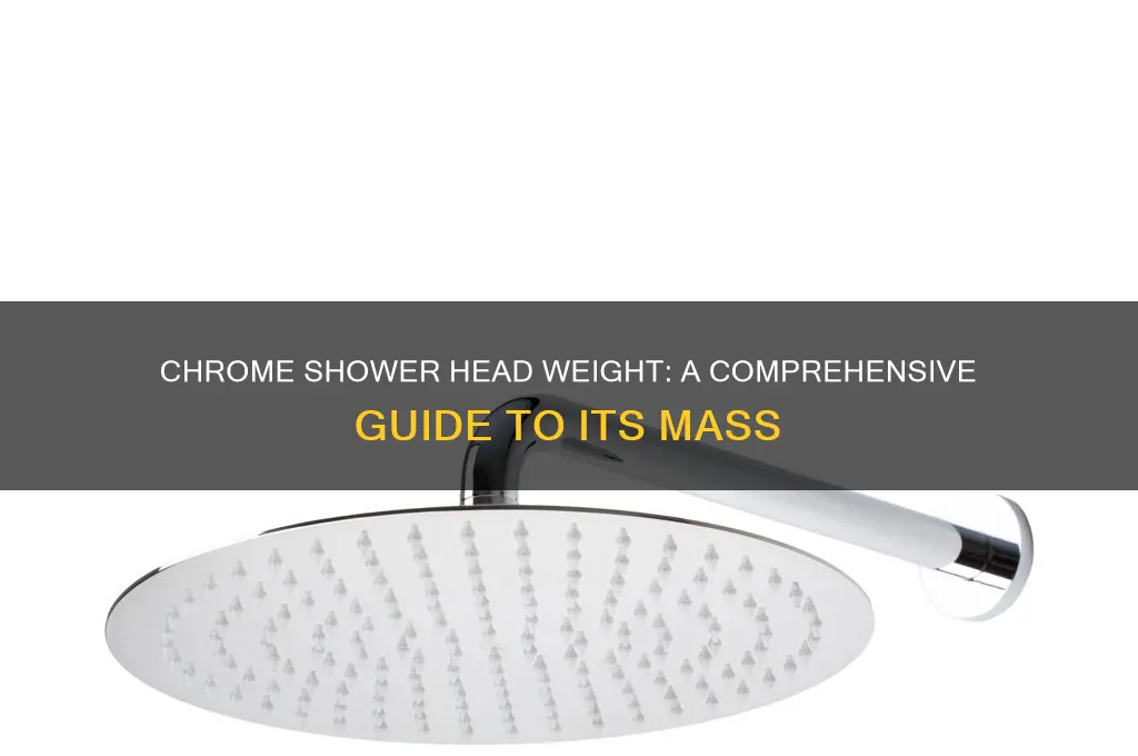 how much does a chrome shower head weigh