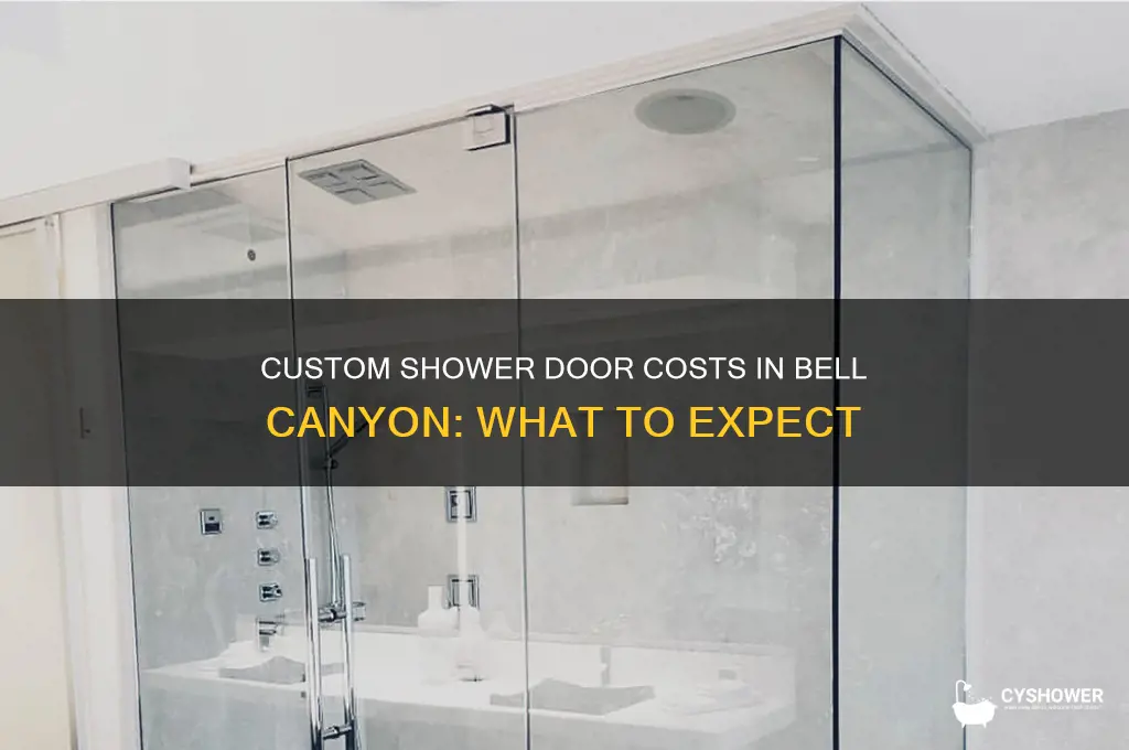 how much does a custom shower door cost bell canyon