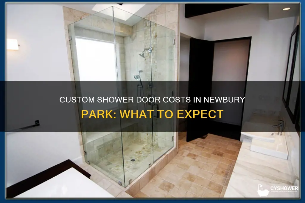 how much does a custom shower door cost newbury park