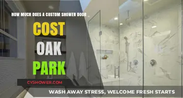 Custom Shower Door Costs in Oak Park: What to Expect
