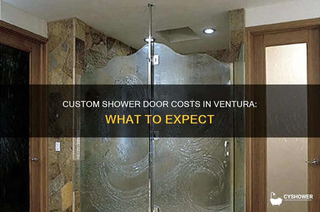 how much does a custom shower door cost ventura
