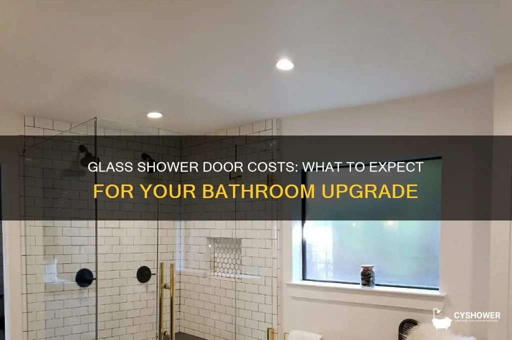 how much does a glass shower door cost