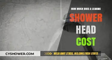 Leaking Shower Head Costs: Uncovering Hidden Expenses and Savings Tips