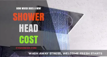 Shower Head Price Guide: Average Costs for New Models