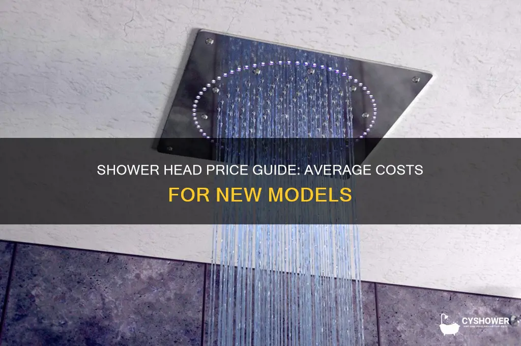 how much does a new shower head cost