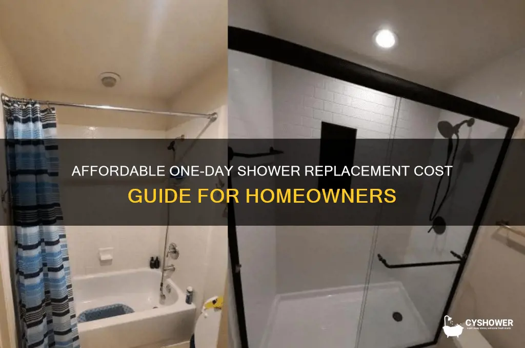 how much does a one day shower replacement cost