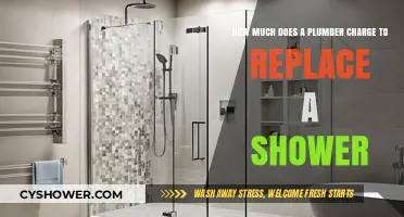 Shower Replacement Costs: What Plumbers Charge for the Job