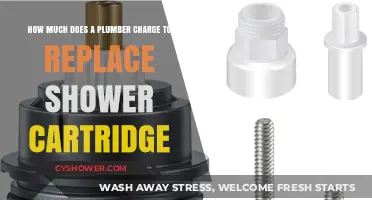 Shower Cartridge Replacement Cost: What Plumbers Typically Charge