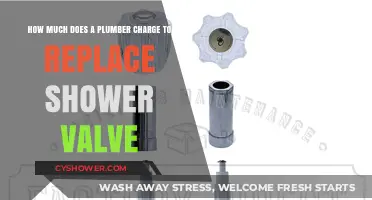Shower Valve Replacement Cost: What Plumbers Typically Charge