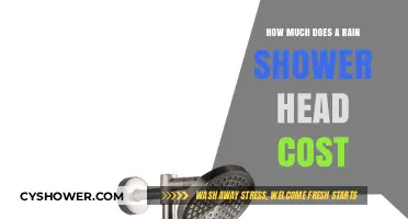 Rain Shower Head Cost Guide: Budget-Friendly to Luxury Options